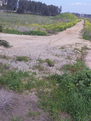 Dirt Road