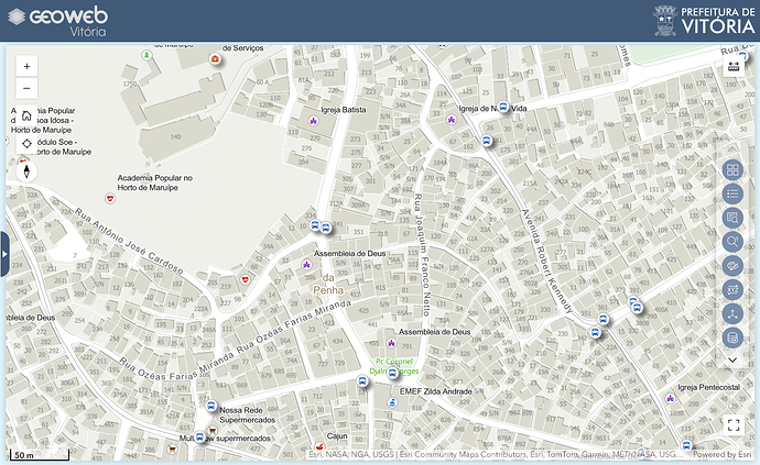 GeoWeb - Rua Joaquim Franco Netto