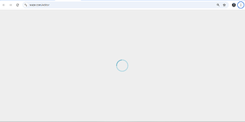 Screenshot 2025-01-31 100542