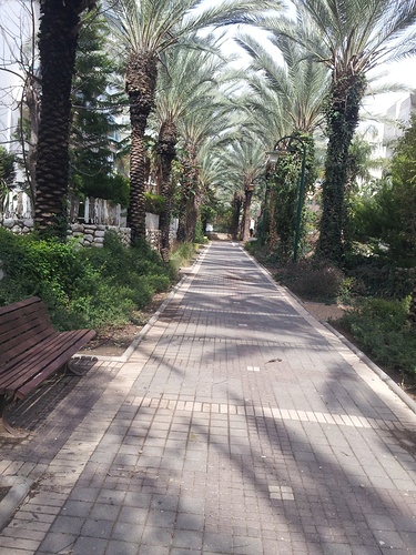Pedestrian Boardwalk