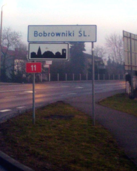 bobrowniki-sl.jpg
