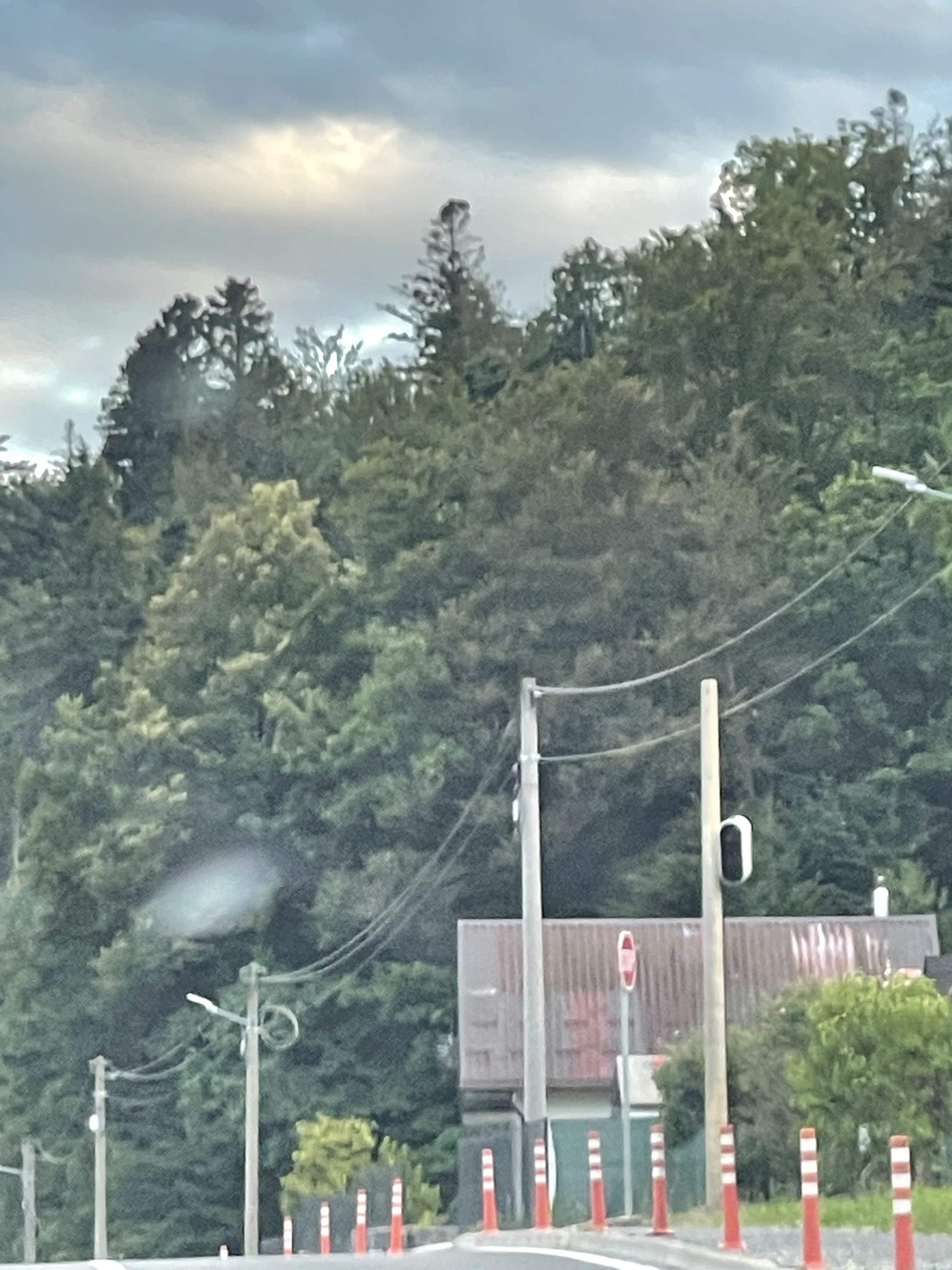 IMG_2952.jpeg