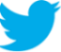 red_twit.png