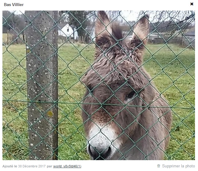 J'dois l'flouter.jpg