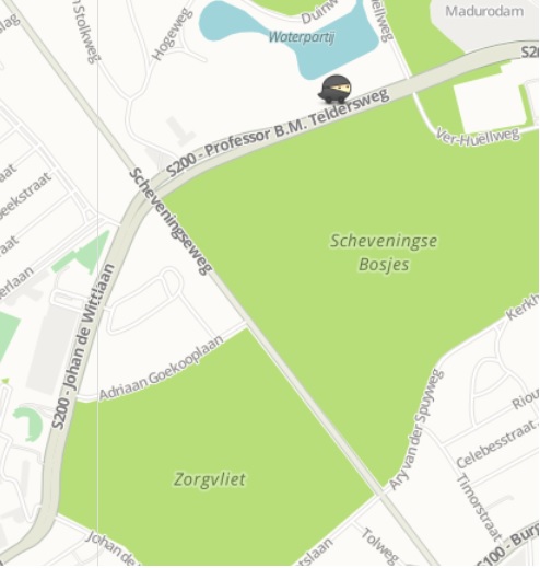 nssweg.jpg