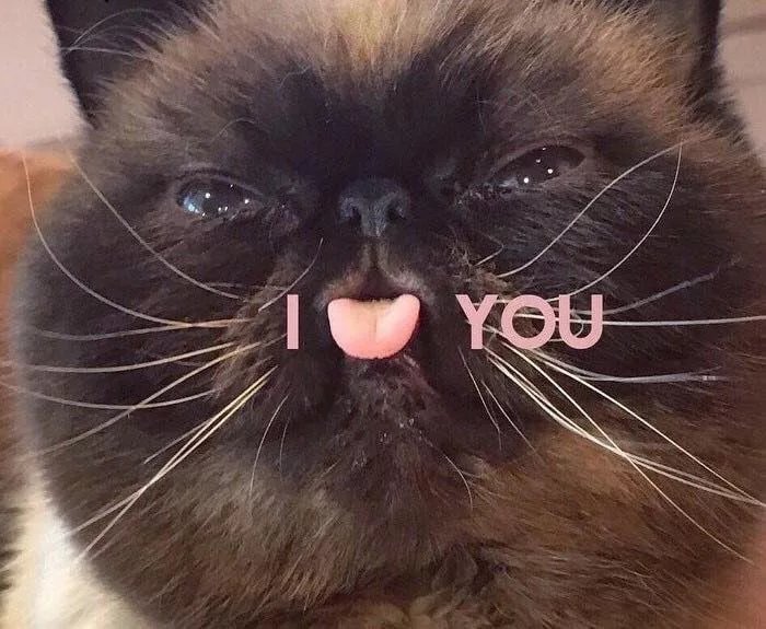 By-cate.jpg