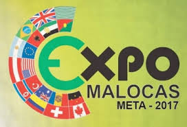 expomalocas 2017.png