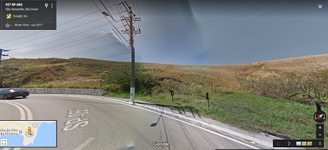 3 bosque.png