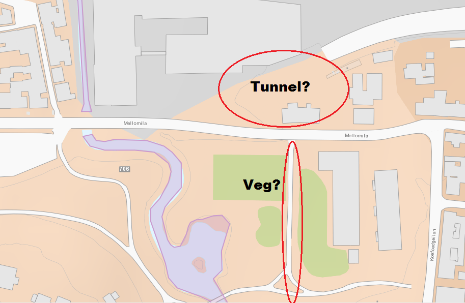 veg_norge1.png