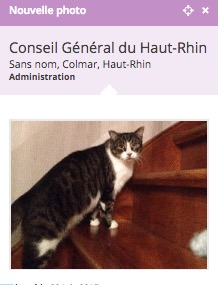 CGHR.jpg