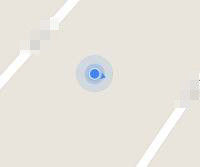SnapToRoad_2.jpg