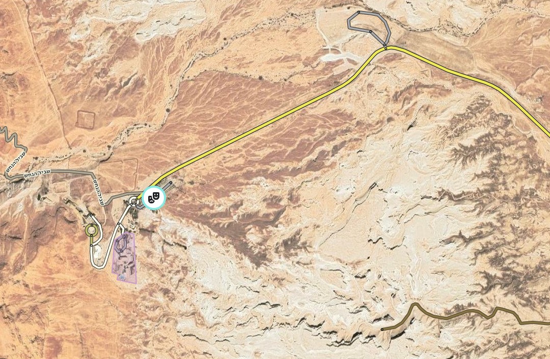 פסטיבל התמר - מופע זריחה.jpg