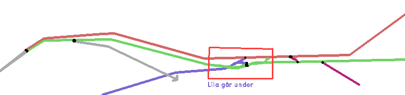 eugenia3.png